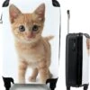 MuchoWow® Koffer - Kat - Rood - Kitten - Meisjes - Kinderen - Jongens - Kindje - Past Binnen 55x40x20 Cm En 55x35x25 Cm - Handbagage - Trolley - Fotokoffer - Cabin Size - Print
