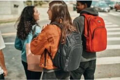 Dakine Campus Rugzak Unisex -Tassen Kortingen Winkel 1200x807 1